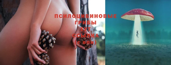 ALPHA PVP Каменногорск