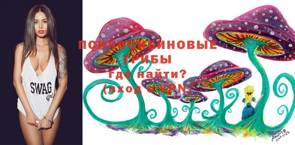 трава Каменка