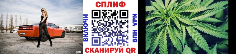 Каннабис White Widow Салаир