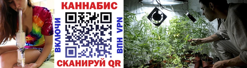 Бошки Шишки SATIVA & INDICA  Купить где  Салаир 